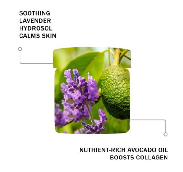 Antipodes Rejoice Light Facial Day Cream - Image 5